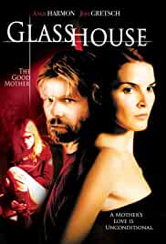 Glass House The Good Mother 2006 Dual Audio Hindi 480p FilmyMeet