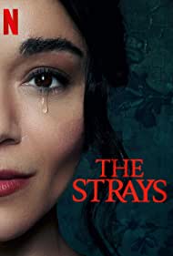 The Strays 2023 Hindi Dubbed 480p 720p 1080p FilmyMeet